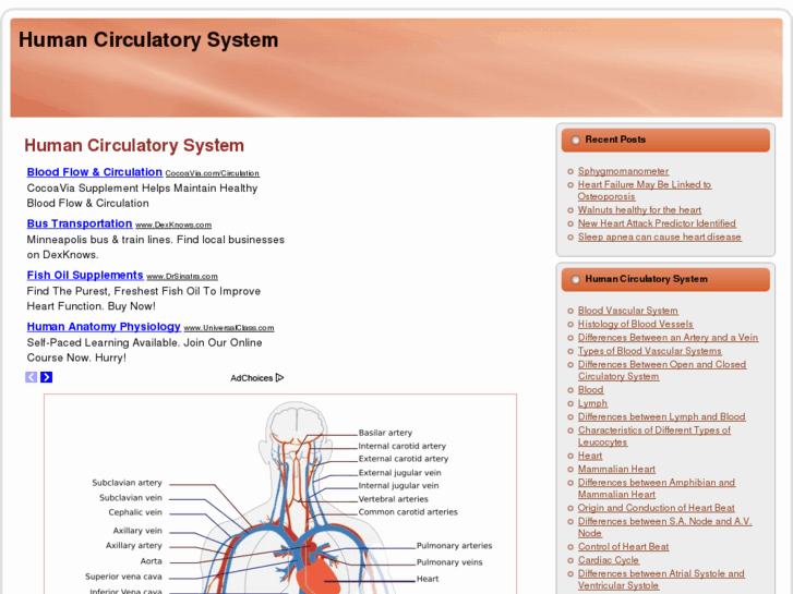 www.circulatory-system.com