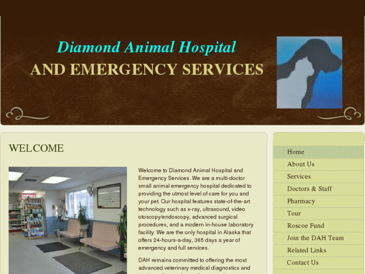 www.diamondhospital.com