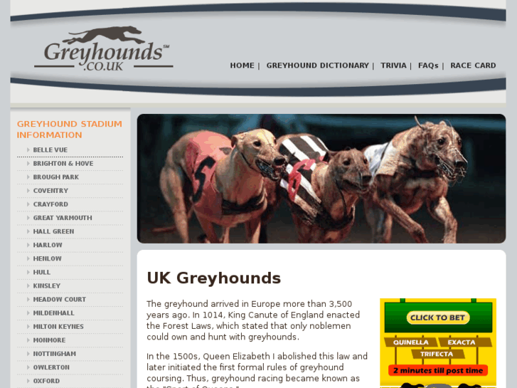 www.grayhounds.co.uk