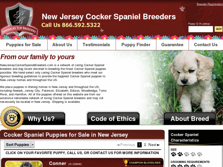 www.newjerseycockerspanielbreeders.com