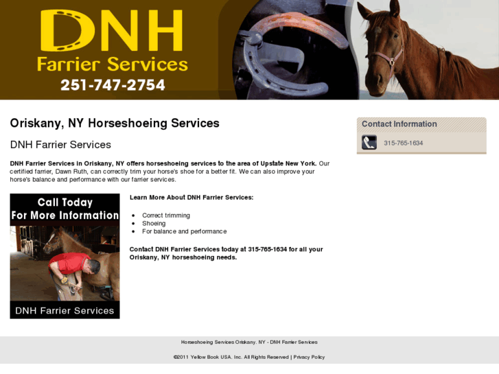 www.nyhorseshoeing.com