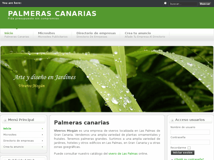 www.palmerascanarias.com