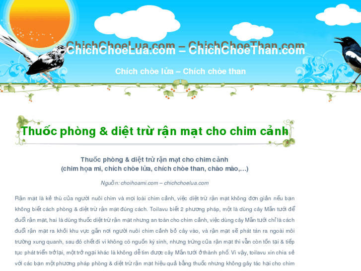 www.chichchoelua.com