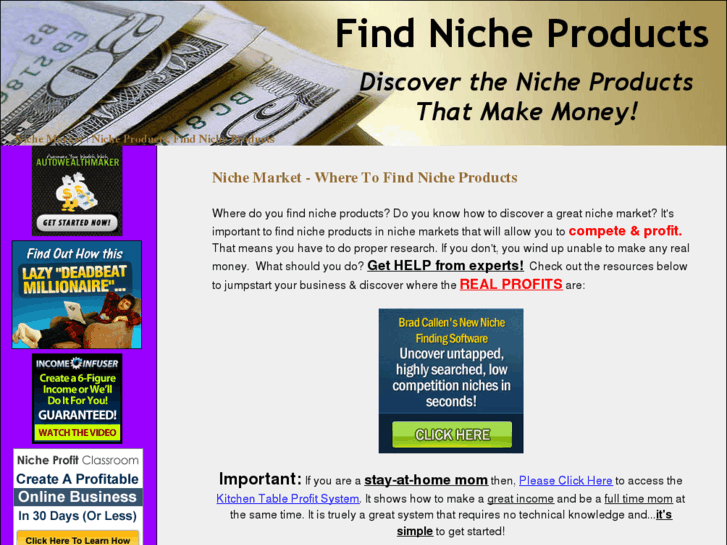 www.findnicheproducts.com