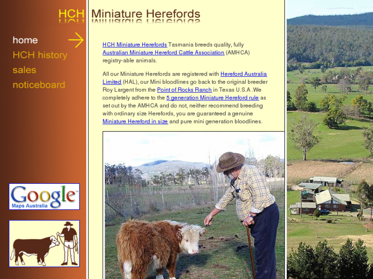 www.hchminiatureherefords.com.au