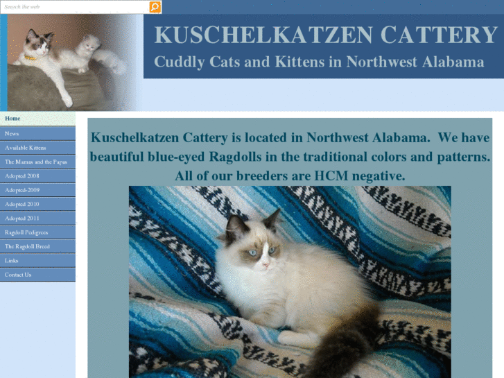 www.kuschelkatzen.org