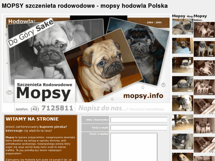 www.mopsy.info