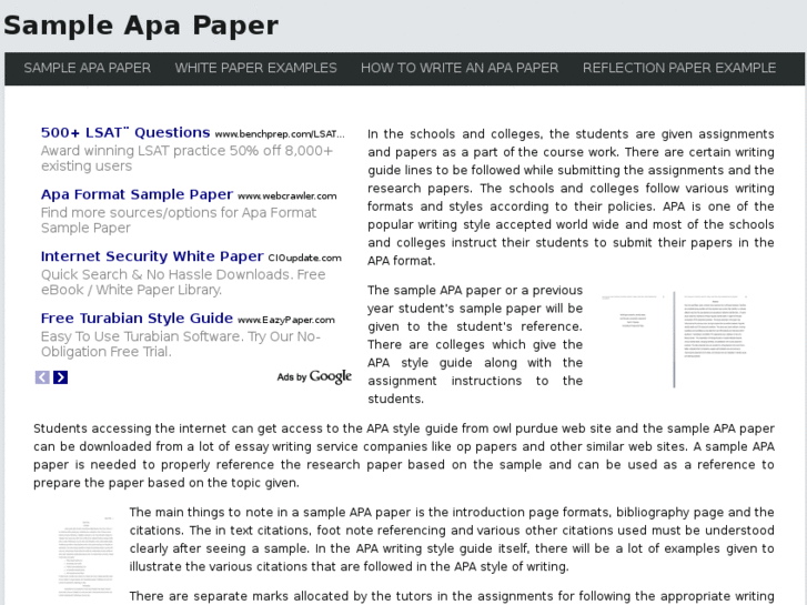 www.sampleapapaper.com