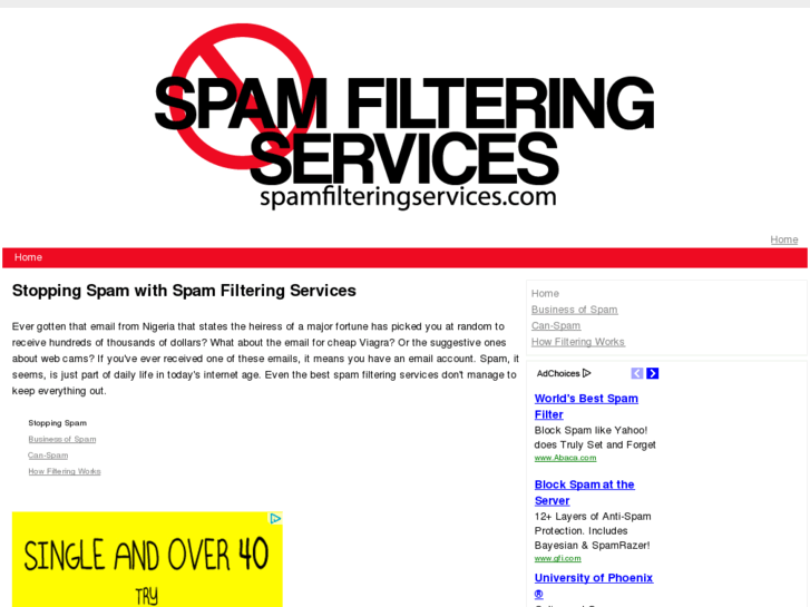 www.spamfilteringservices.com