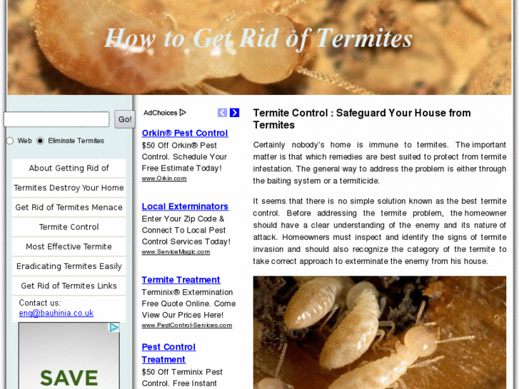 www.howtogetridoftermites.org