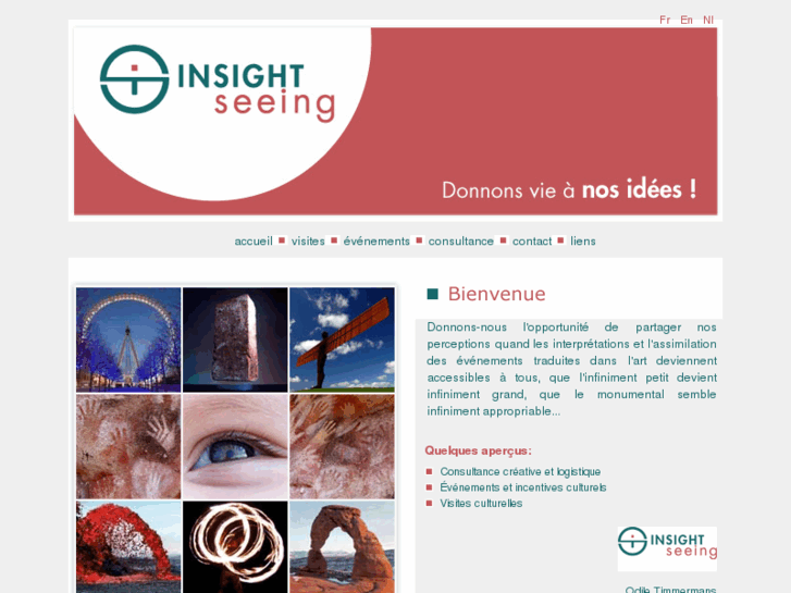 www.insight-seeing.com