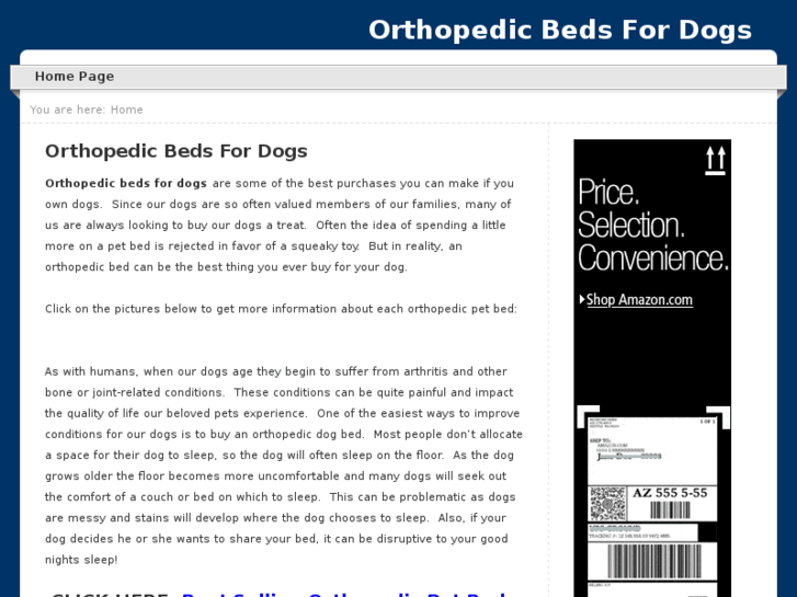 www.orthopedicbedsfordogs.com