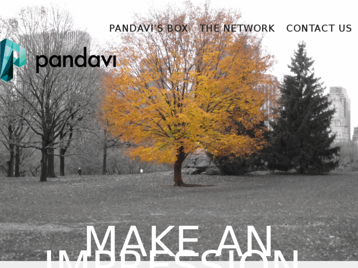www.pandavi.com