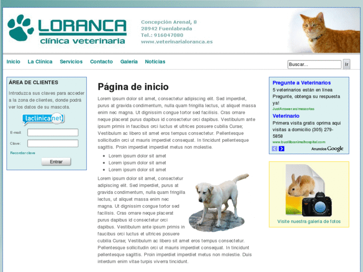 www.veterinarialoranca.com