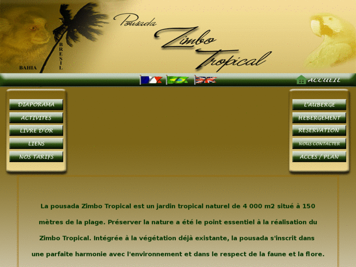 www.zimbo-tropical.com