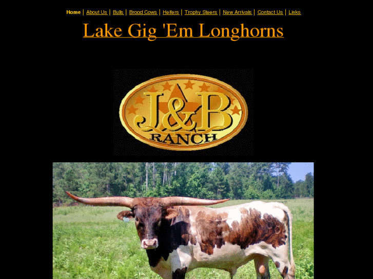 www.jblonghorns.com