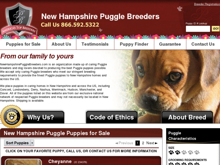 www.newhampshirepugglebreeders.com