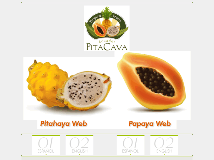 www.pitacava.com