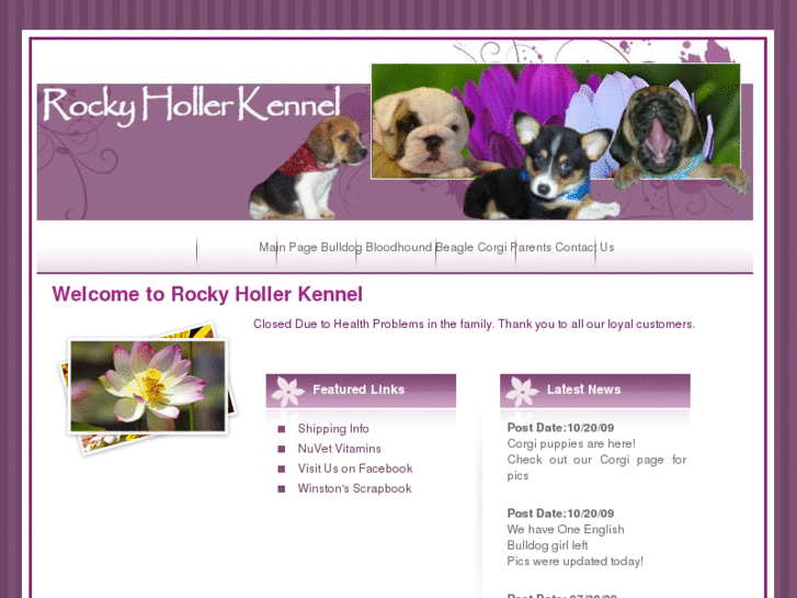 www.rockyhollerkennel.com