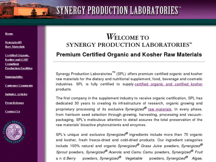 www.synergyproduction.com