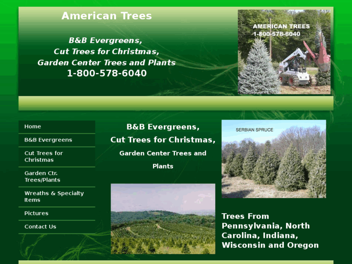 www.americanchristmastrees.com