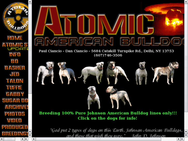 www.atomicamericanbulldogs.com