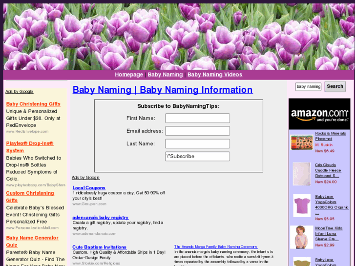 www.babynamingtips.com