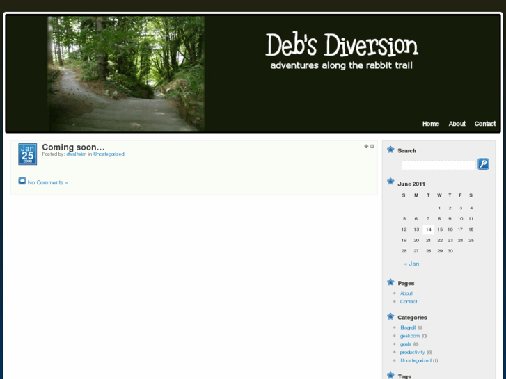 www.debsdiversion.com