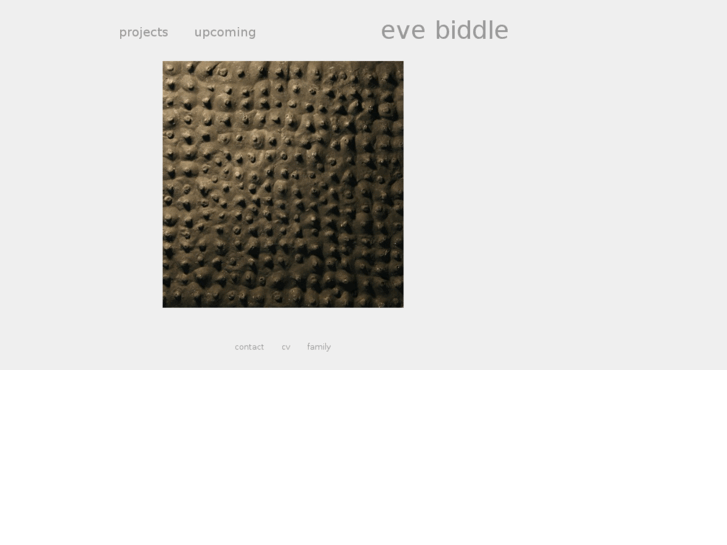 www.evebiddle.com