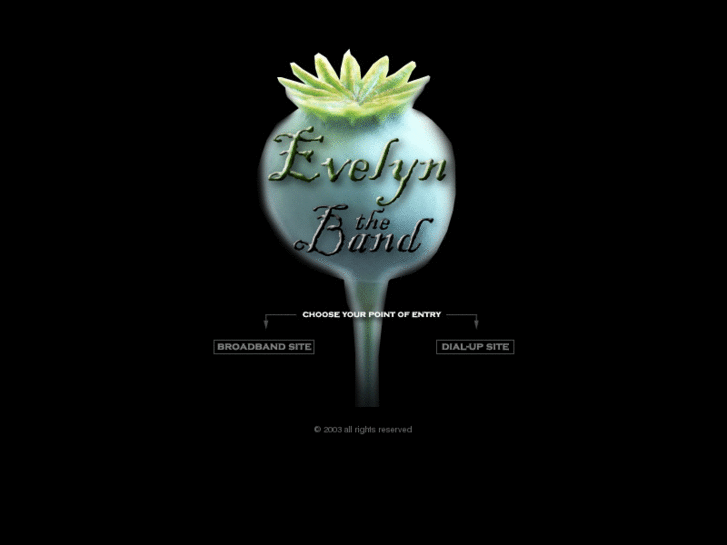 www.evelyntheband.com