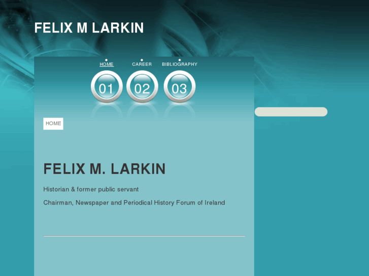 www.felixmlarkin.com