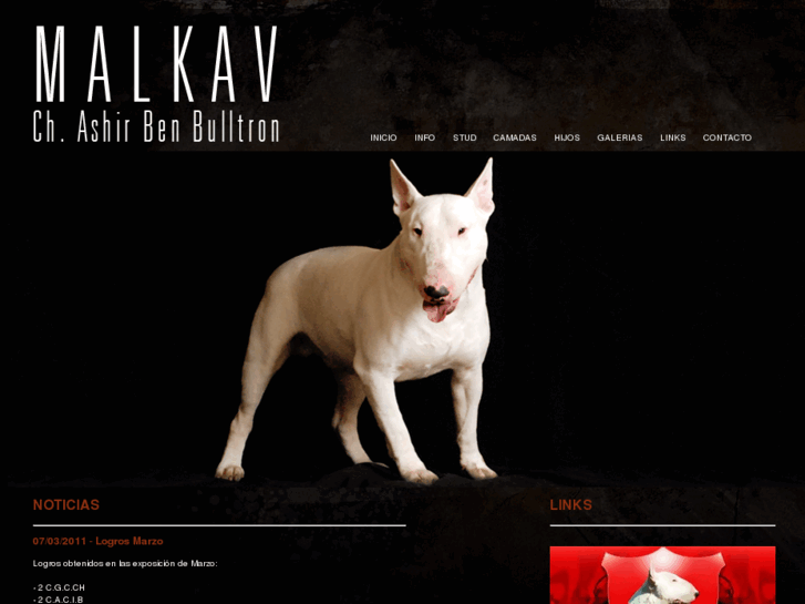 www.malkavbull.com