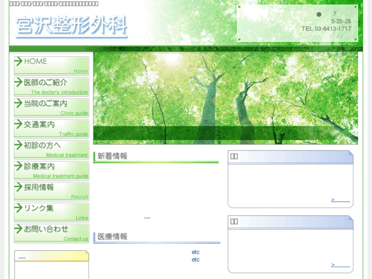 www.miyazawa-ortho.com