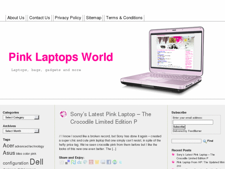 www.pinklaptopsworld.com