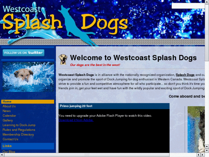 www.westcoastsplashdogs.com