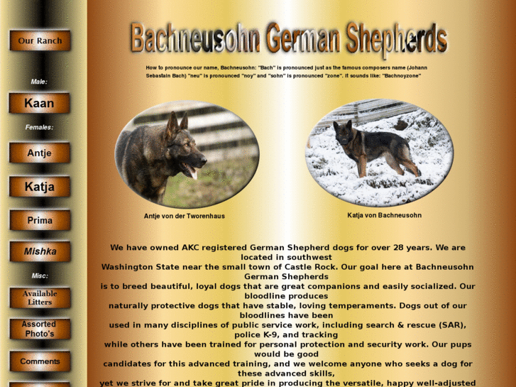 www.bachneusohn.com