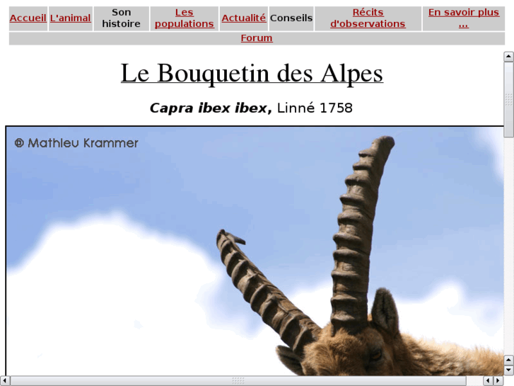 www.bouquetin-des-alpes.com