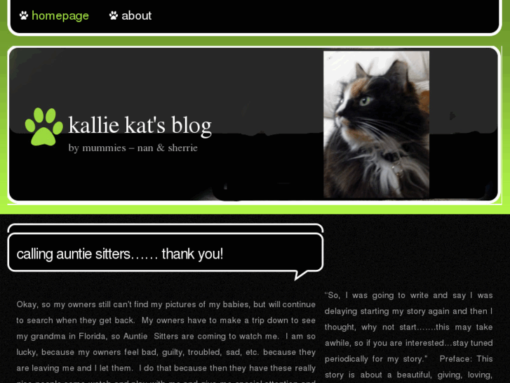 www.kalliekat.com