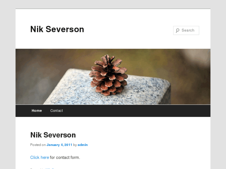 www.nikseverson.com