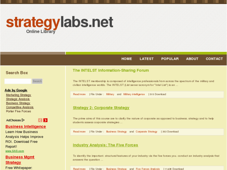 www.strategylabs.net