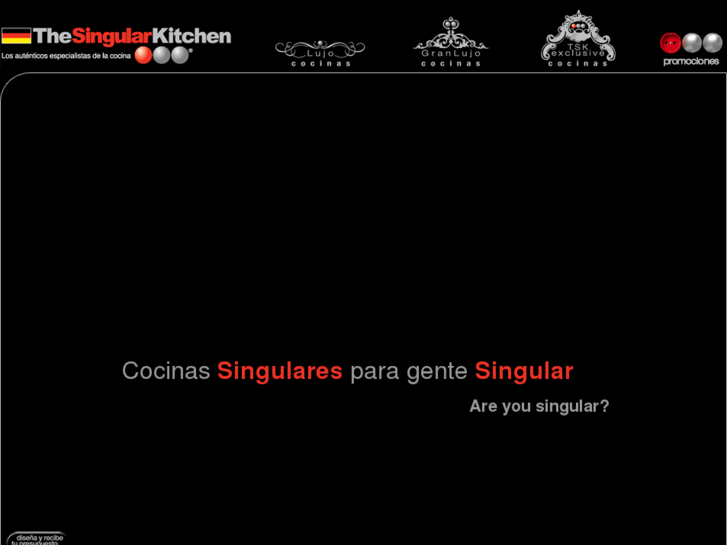 www.thesingularkitchen.com