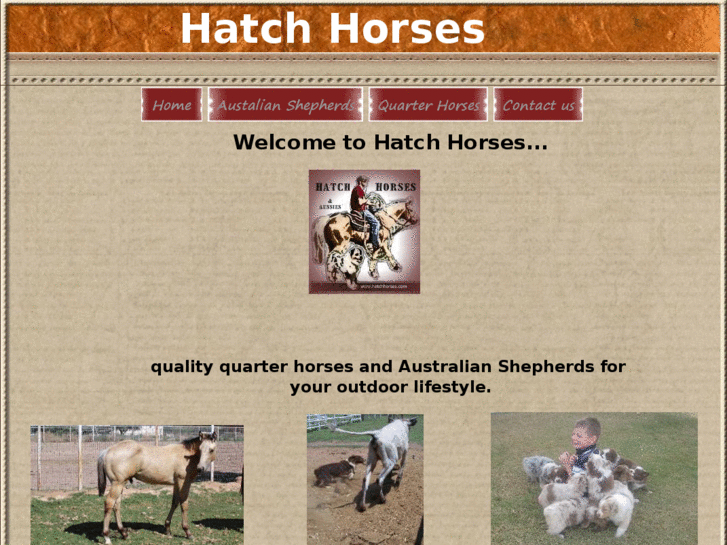 www.hatchhorses.com