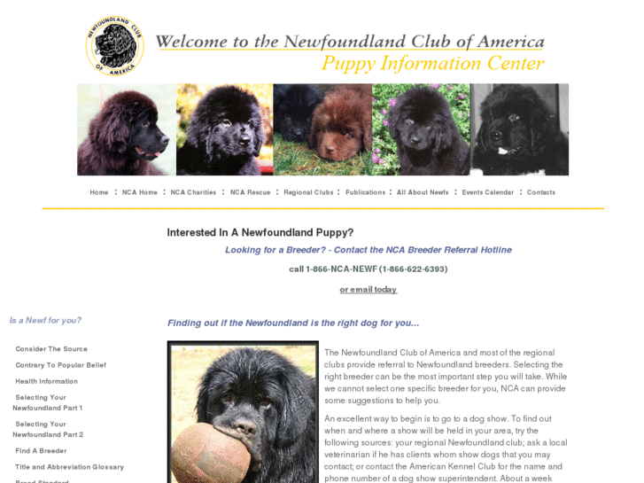 www.newfoundlandpuppy.org