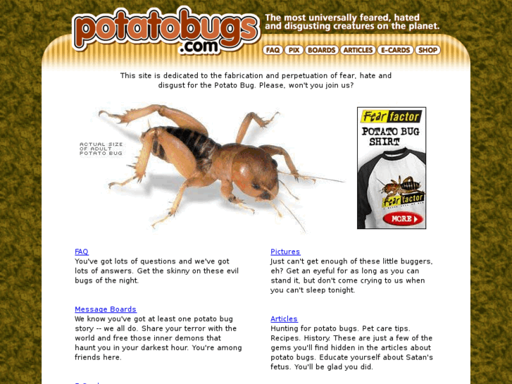 www.potatobugs.com