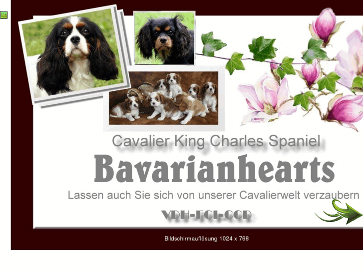 www.bavarianhearts-cavaliere.de