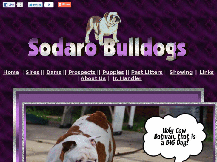 www.sodarobulldogs.com