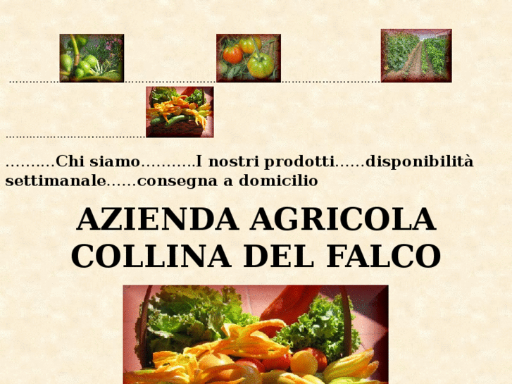 www.collinadelfalcocarmignano.com