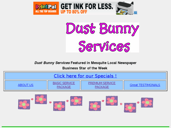 www.dustbunnynv.com