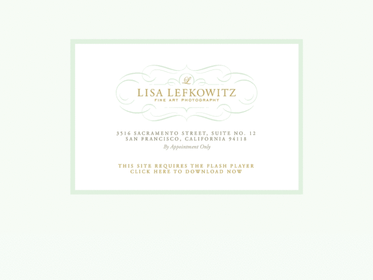 www.lisalefkowitz.com