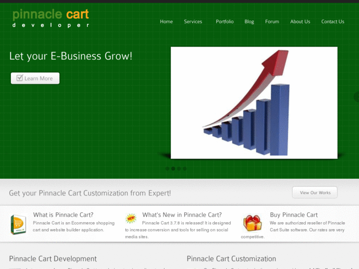 www.pinnacle-cart-developer.com